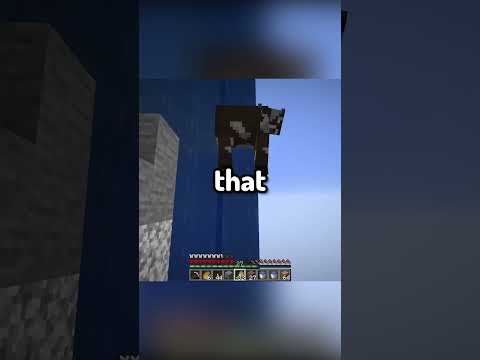 Cow Plummets To Its Death In Minecraft