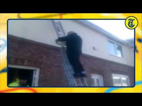 Nieuwsflits 8 November 2011 - Geamputeerd been groeit weer aan