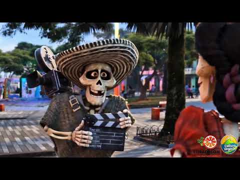 Arma tu ruta de festivales de cine