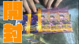 団結のドミナリア開封！【新米MTG】