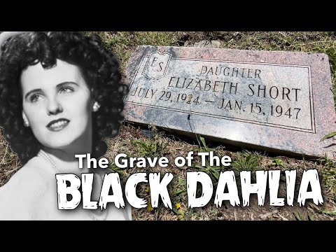 The Grave of The Black Dahlia   4K