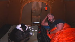 Car Tent Camping in Air Conditioned Tent - Dog