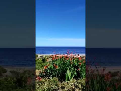 Santa Lucia del Este, Canelones, Uruguay.