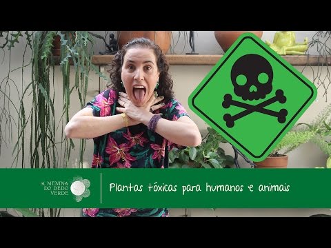 , title : 'Nô Figueiredo Ensina sobre Plantas Tóxicas/Toxic Plants'