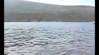 Kruder & Dorfmeister - K & D sessions -Trans fatty acid - Lamb