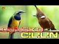 MASTERAN CUNGKO FEAT CILILIN AUDIO SUPER JERNIH