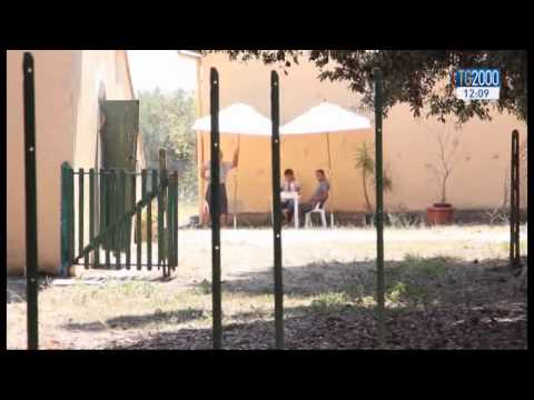 Tg2000 22 luglio del 2015 - Edizione delle 12