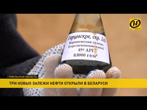 Новые залежи нефти обнаружены в Беларуси! Сразу три новые точки 'черного золота'