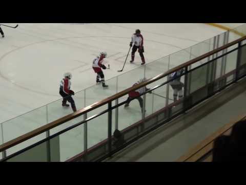 19.3.2017 D2 AA  Kisa Eagles sininen - KPK 3. erä