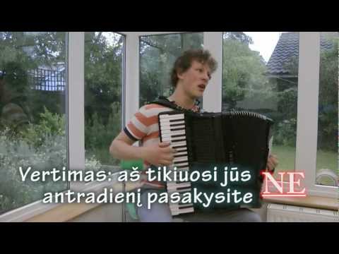 Martynas Levickis prieš elektroninį balsavimą Internetu