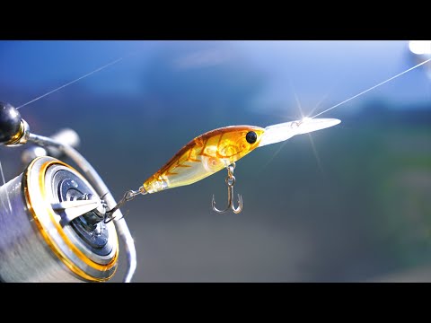 CONTROVERSIAL LURE | Daiwa Spike 44 Review