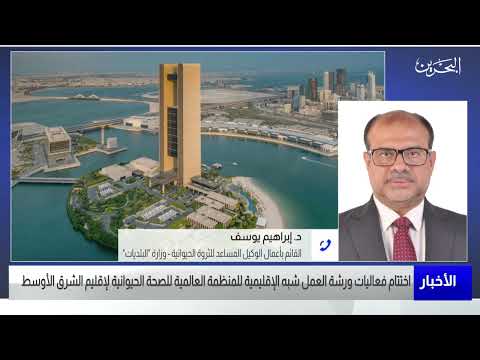 البحرين مركز الأخبار مداخلة هاتفية مع إبراهيم يوسف القائم بأعمال الوكيل المساعد للثروة الحيوانية