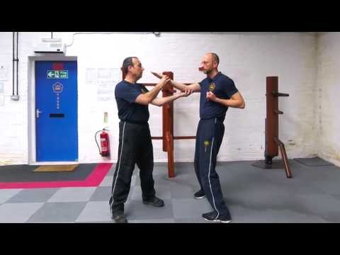 Simply Wing Chun Kuen - Tan Sao expanation