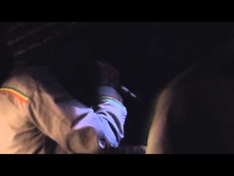 I NATURAL ls Forward Fever @Dub Revolution - Brugges 14 March 2015