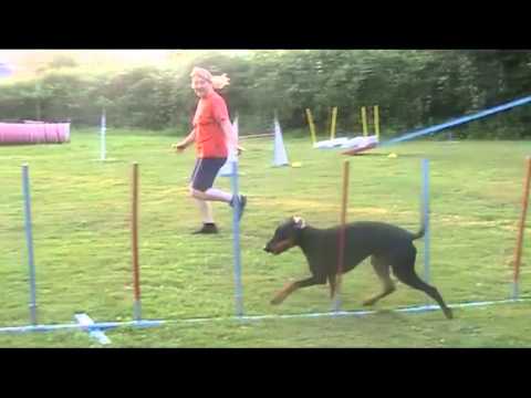 Training | Elke & Highlight | 26.07.2013