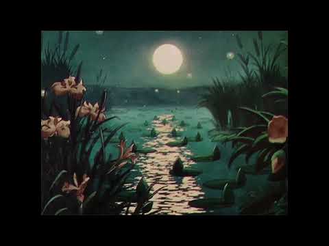 Mac DeMarco - 20190826 (Dexed) (Slowed + Reverb)