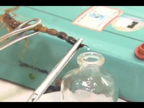 Bagaimana meningkatkan penis dan apakah Bagaimana meningkatkan ukuran penis saya