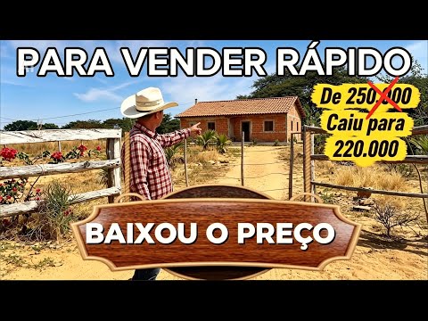 21 HECTARE- 220.000 - JAÍBA-MG