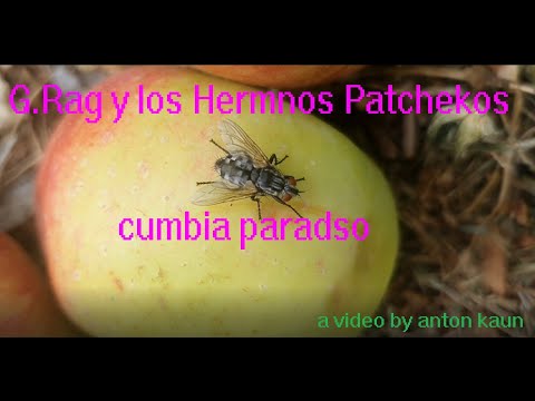 G.Rag y los Hermanos Patchekos - Cumbia Paradiso