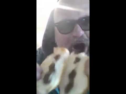 uomo sbraita x le merendine del mulino bianco