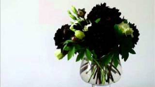 Download lagu Ida Laila - Bunga Dahlia mp3