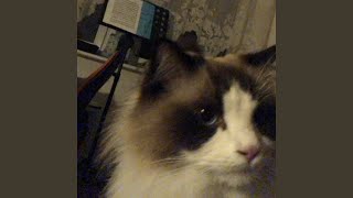 cause harm (feat. lungskull)