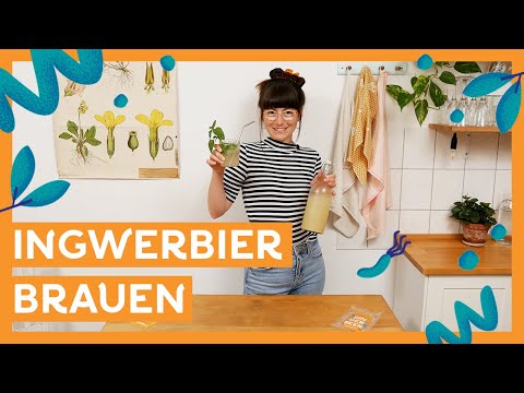 Ginger Beer selber machen I Ingwerbier brauen so geht's