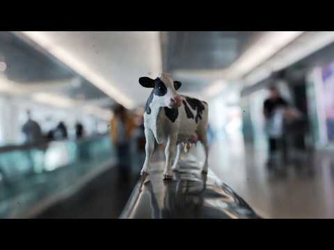 COPY011 - CaterKarlos - Wergans (Video Cut)