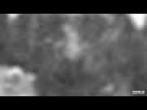 42. EU VIM PARA ESTE MUNDO - João Pereira