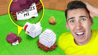 Video thumbnail image