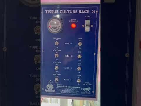 Tissue Culture Rack