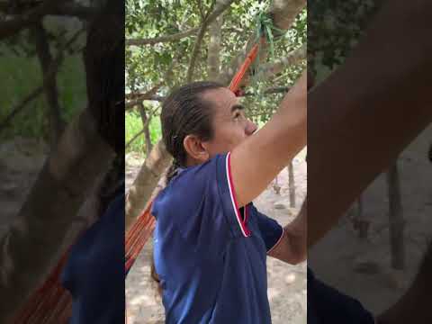 Na carne de bode não deixo cabelo #sitiolagoverde
