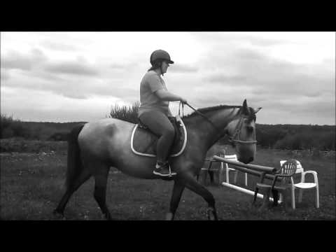 souvenirs de nos 4 ans passé