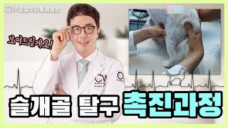 강아지 슬개골탈구 촉진 진단과정이 궁금하시죠? 다 보여드릴께요! 이거 정말 중요해요!