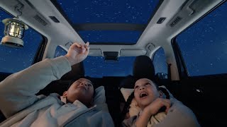 Mitsubishi DESTINATOR | Aura of sheer elegance