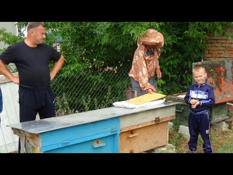 Пасека Валека на позетиве :) пчела летом