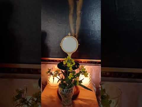 Adoración al Santísimo Sacramento del Altar con el Padre Fabian Esteban Oliva. 11/06/26