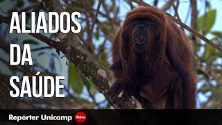 Miniatura do vídeo