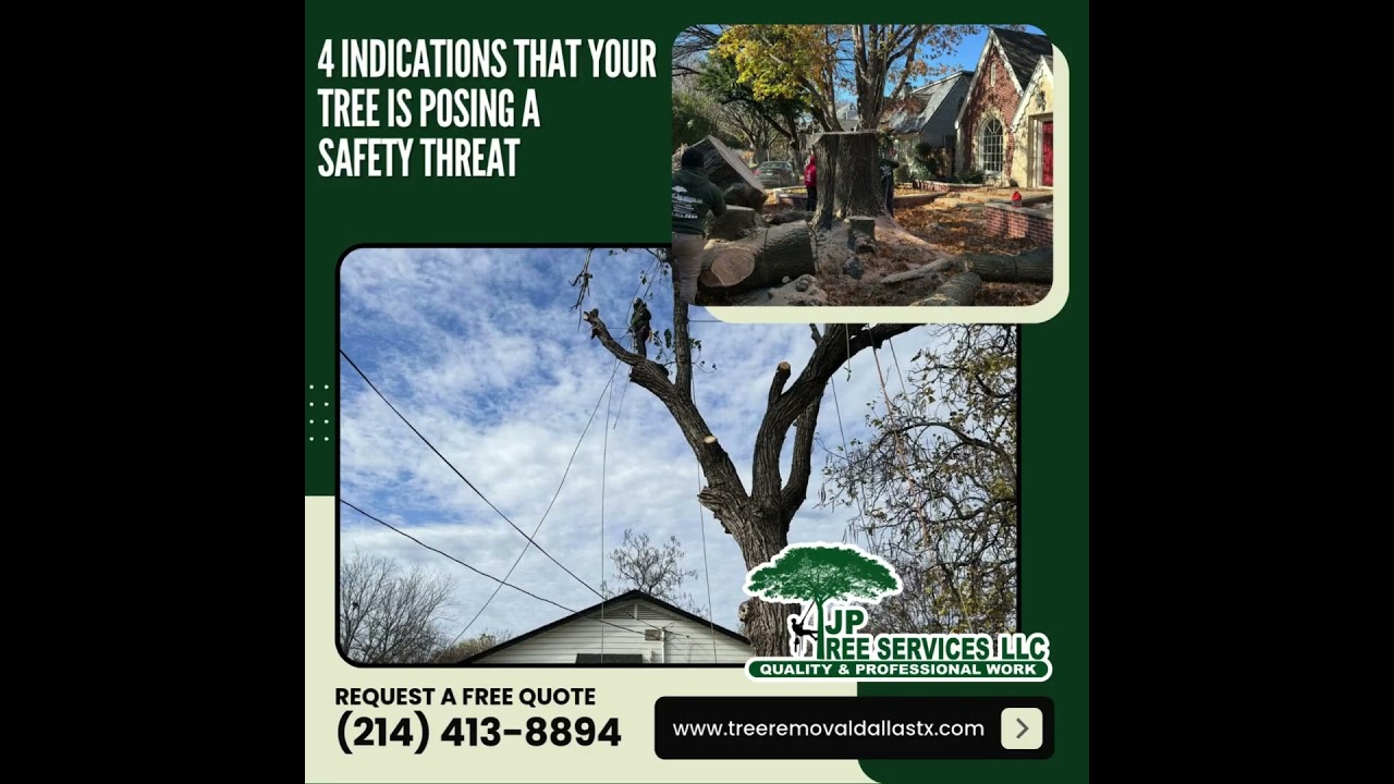 Professional Tree Services #treeservicesnearme #treeremoval #treeremovalservices