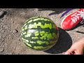 КАК Я ПЫТАЛСЯ УНИЧТОЖИТЬ НОКИА 3310. ⛔