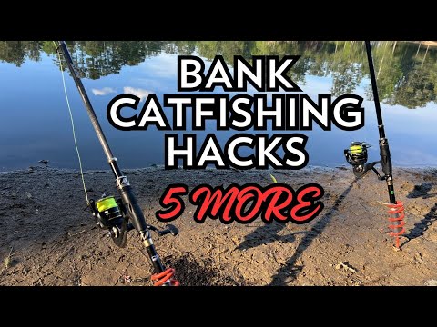 BEST 5 TIPS FOR CATFISHING FROM THE BANK