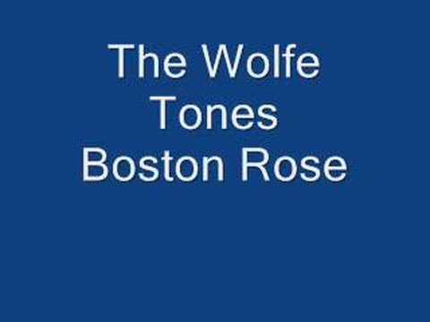 The Wolfe Tones Boston Rose