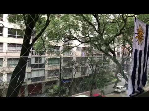 Así vivió Uruguay la clasificación a cuartos de final en Rusia 2018