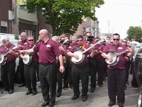 Mr. Wonderland - Avalon String Band