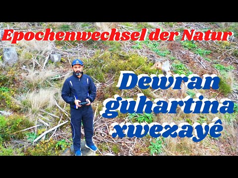 ZARA feat. Sivan Perwer - Welatê min (#2021) | Jîyaneke bê azadî, weka/mîna çiyayekî bê dara.