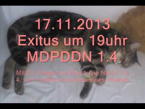 Exitus um 19 Uhr - MDPDDN 1.4 - das 4. von 5 live electro Sets eines Abends