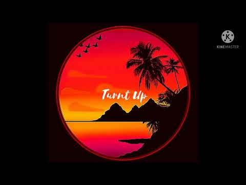Turnt Up - MstaBeaver (prod: Soulker)