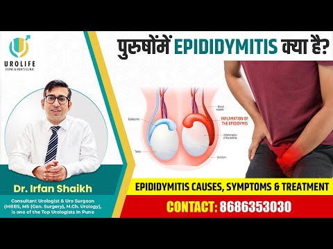 पुरुषोंमें Epididymitis क्या है? | Epididymitis Causes, Symptoms & Treatment | Dr. Irfan Shaikh