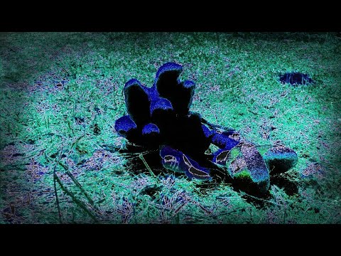 The Sonic Plush Show S3 Ep.16 - Resistance