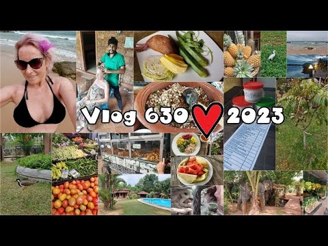 Vlog 630/23 - Srí Lanka - dny očistné